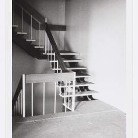 The Cancer Institute