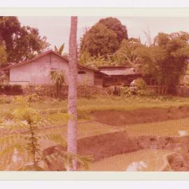 Bogor