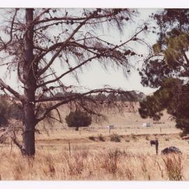 Gisborne Shire Offices - Existing Site
