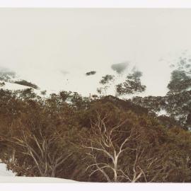 Mt. Buller (Ski Lifts Pty. Ltd.)