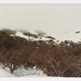 Mt. Buller (Ski Lifts Pty. Ltd.)