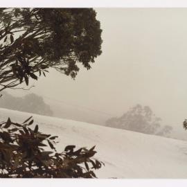Mt. Buller (Ski Lifts Pty. Ltd.)