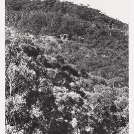 Roy Simpson house Mount Macedon