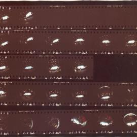 [Sidney Myer Music Bowl]