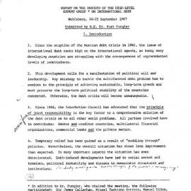 3.EG [expert group] Report- International Debt