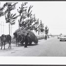 [Carts and cars taken during Malcolm Fraser's visit to China]