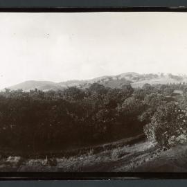 [Panoramic] Rostrevor [13 of 21]