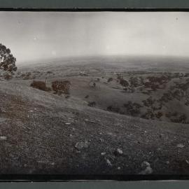 [Panoramic] Rostrevor [21 of 18]