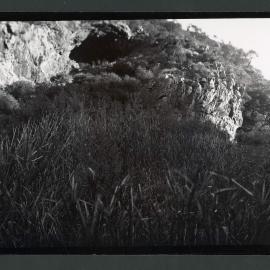 [Panoramic] Rostrevor [18 of 21]