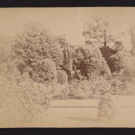 Garden of "Rostrevor"