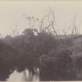 At East Head, Western Port