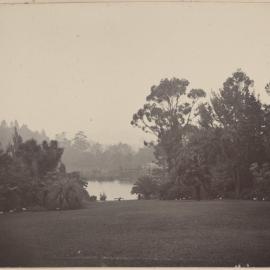 Views in Botanic Gardens, Melbourne