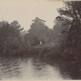 [Views in Botanic Gardens, Melbourne]