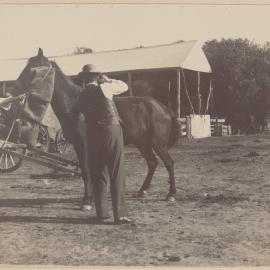 Branding Horses, Murray Downs