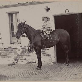 The young stockman, Coolart