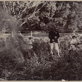 After the billy is boiled