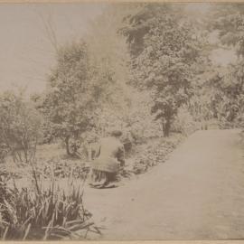 [A section of the garden at Montalto, Orrong Road, Toorak]