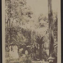 [Man and women in ferns]