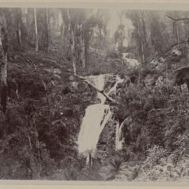 Steavenson Falls