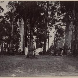 [Tent set up behind trees]