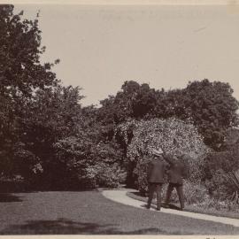 [Two men photographed from behind walking on garden path]
