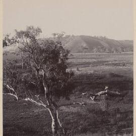 Near Queen's Park Geelong