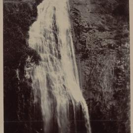 At Supper Cove, Dusky Sound