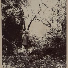 Lake Katrine, George Sound