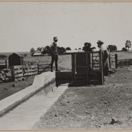 [Man and woman standing at plunge sheep dip]
