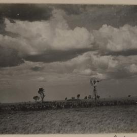 [Windmill in farm paddock]