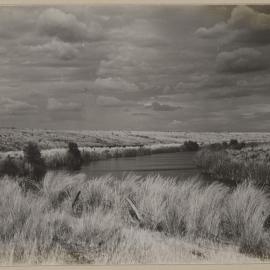 [River through paddock]