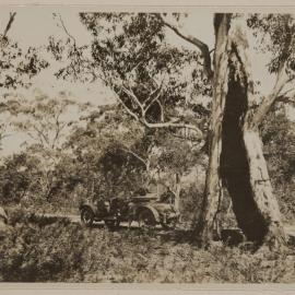 The Stony Rises [Colac, Victoria]