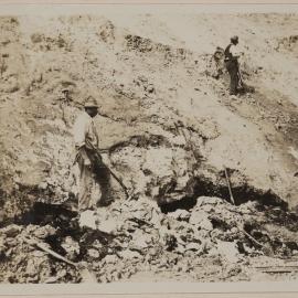 [Brown Coal Field - Morwell]