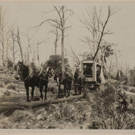 On the way to Great Lake Tasmania, [horse drawn tramway]