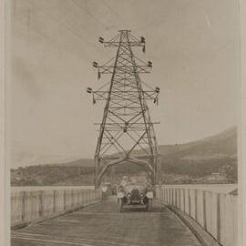 Thistle at Bridge water [on way] to Hobart