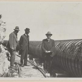 The wood pipe line, Lake Margaret [Tasmania]