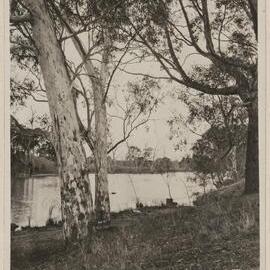 [View of river from bank with large trees]