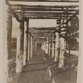 [Bare walkway arbour]