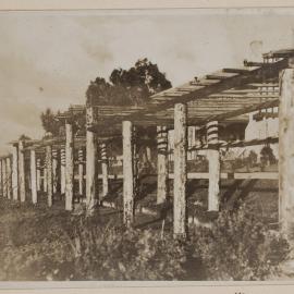 [Bare walkway arbour]