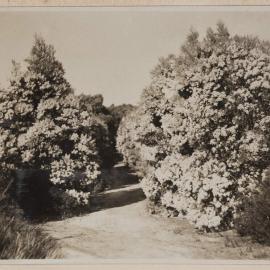 Frankston Golf Course