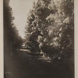 Frankston Golf Course