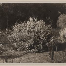 Frankston Golf Course