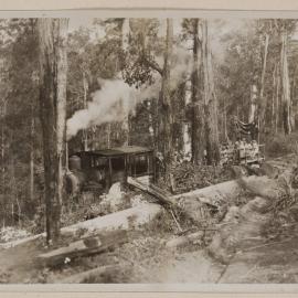 [Langley Vale Timber Tramway]