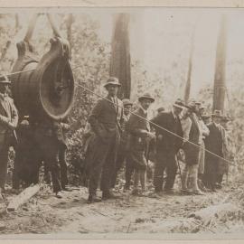 Felling and logging tallowwood - Langley Vale, N.S.W.