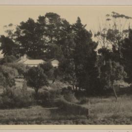 The Cottage