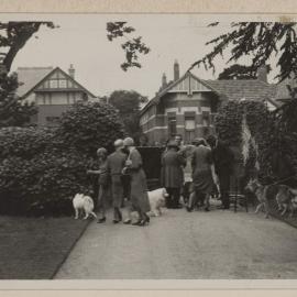 The Comical Dog Show