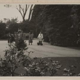 The Comical Dog Show