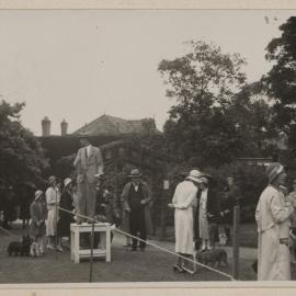 Miegunyah [Comical Dog Show]