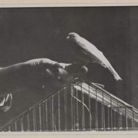 At Alverstoke [England]