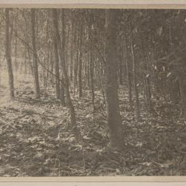 Westerfield